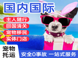 阿拉善左旗巴彦浩特机场空运国际宠物托运 【国